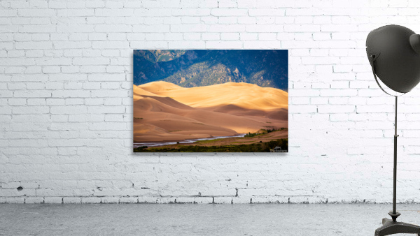 Detail of Great Sand Dunes NP  by Steve Heap