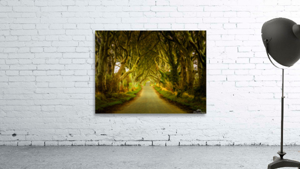 Dark Hedges road through old trees in digital oil by Steve Heap
