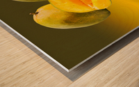 Two mangoes and one cut mango reflecting Wood print