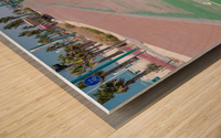 Rubber surface of running track alongside Dubai beach Wood print