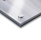 Single Gentoo penguin on Falklands walking to ocean Acrylic print