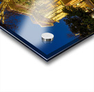 December lights on Williamson County Courthouse in Georgetown TX Impression Acrylique