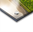 Verdant taro fields thrive under the Hawaiian sun near Hanalei B Acrylic print