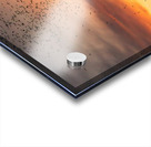 Bats Flying Overhead - Crowd on Congress Avenue bridge Acrylic print