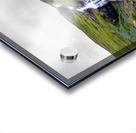 Waterfall in Tunhudalur valley near Isafjordur Iceland with lupi Impression Acrylique