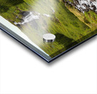 Waterfall in Tunhudalur valley near Isafjordur Iceland with lupi Acrylic print