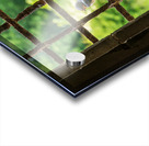 Barn swallow perched on the bars of 13th Century window Acrylic print