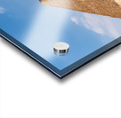 Great Pyramid behind Sphinx at Giza Egypt Acrylic print