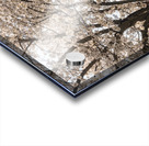 Blossoms by the steel girder bridge carries the bike walking trail Acrylic print