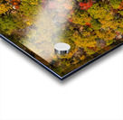 Vertigo Acrylic print