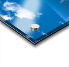 Sea level rise flooding the flowers for butterfly Acrylic print