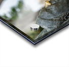 Statue of bust of Lawrence Durrell in Corfu Acrylic print