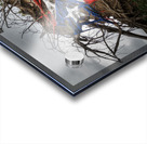 Fallen tree from Hurricane Maria in San Juan Acrylic print