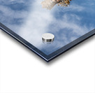 Statue for the Fallas Festival in Valencia Impression Acrylique