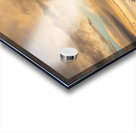 Sunset in Saguaro National Park Tucson Acrylic print