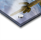 Sunset in Saguaro National Park Tucson Acrylic print