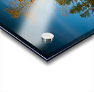 Ferris Wheel ride at abandoned funfair  Acrylic print