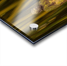 Buddha statue in bamboo forest Acrylic print