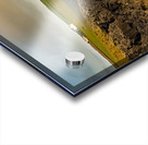 Coastline in late evening sun at Port Quin Acrylic print