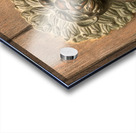 St Jacob Monastery entrance Regensburg Acrylic print