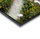 Graffiti on wall of rock like face of cat Acrylic print