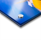 Madiera Beach and sea oats in Florida Acrylic print