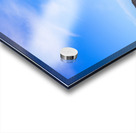 Boardwalk among sea oats to beach in Florida Acrylic print