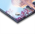 Beautiful early morning Jefferson Memorial cherry blossoms Acrylic print