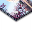 Beautiful early morning Jefferson Memorial wall art Acrylic print