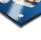 Martin Luther King Monument DC Acrylic print