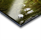 Dark Hedges road through old trees Acrylic print