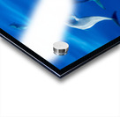 Spinner dolphins off coast of Kauai with leader clearly winning  Acrylic print