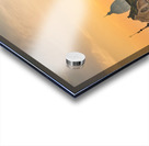 Skyline of Rome towards San Carlo al Corso Acrylic print