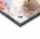 Martin Luther King Monument Washington DC Acrylic print