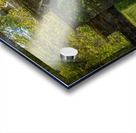 Archway frames Azaleas and Rhododendron trees in spring Acrylic print