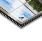 Lavender plants in blossom in early July through window Acrylic print