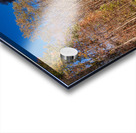 WMRR Steam train powers along railway Acrylic print