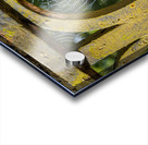 Dew glistening cobweb on gate Acrylic print