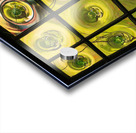 Window of old crown glass panes reflected garden Acrylic print