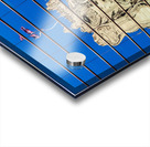 Reflection of Chicago Tribune Tower Acrylic print