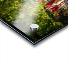 British Redcoats in marching band Impression Acrylique