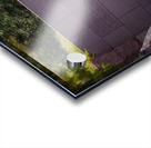 Statue of Roosevelt and dog Acrylic print