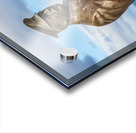 Statue of Ernest Shackleton pointing at Viking Jupiter ship in P Acrylic print