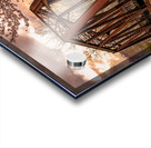 Steel girder bridge carries the bike walking trail over Deckers  Acrylic print