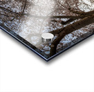 Steel girder bridge carries the bike walking trail over Deckers  Acrylic print