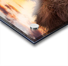 Sunset over Formby Beach through sand dunes Acrylic print