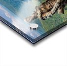 View from Overlook in Snake Hill WMA in WV Acrylic print