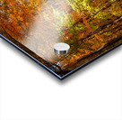 Road leading to Coopers Rock state park Acrylic print