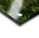 Crim Dell bridge at William and Mary college Acrylic print