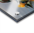 Mandarin duck floats on Ellesmere Mere to a clear reflection of  Acrylic print